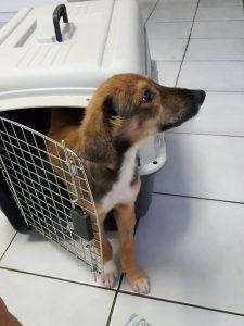 15327719_10209755949230348_1589686107_n