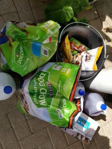 15327776_10209755691023893_1872680087_n