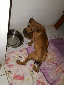 15416051_10209844270598327_1795711406_n