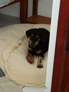 15423758_10209844274518425_647627993_n