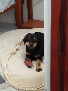 15451263_10209844274718430_1986064090_n