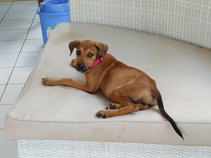 15497645_10209844273478399_1895016474_n