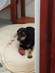 15497711_10209844274198417_977094512_n