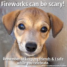 c342c2bacdb1bc18a14bcf60f2d7bbbb